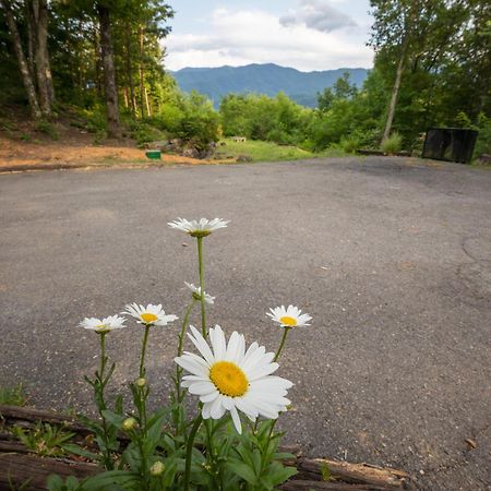 Real Log Cabin With Amazing Views, Hot Tub, Sauna, Games Gatlinburg Exteriör bild