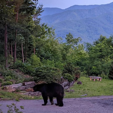 Real Log Cabin With Amazing Views, Hot Tub, Sauna, Games Gatlinburg Exteriör bild