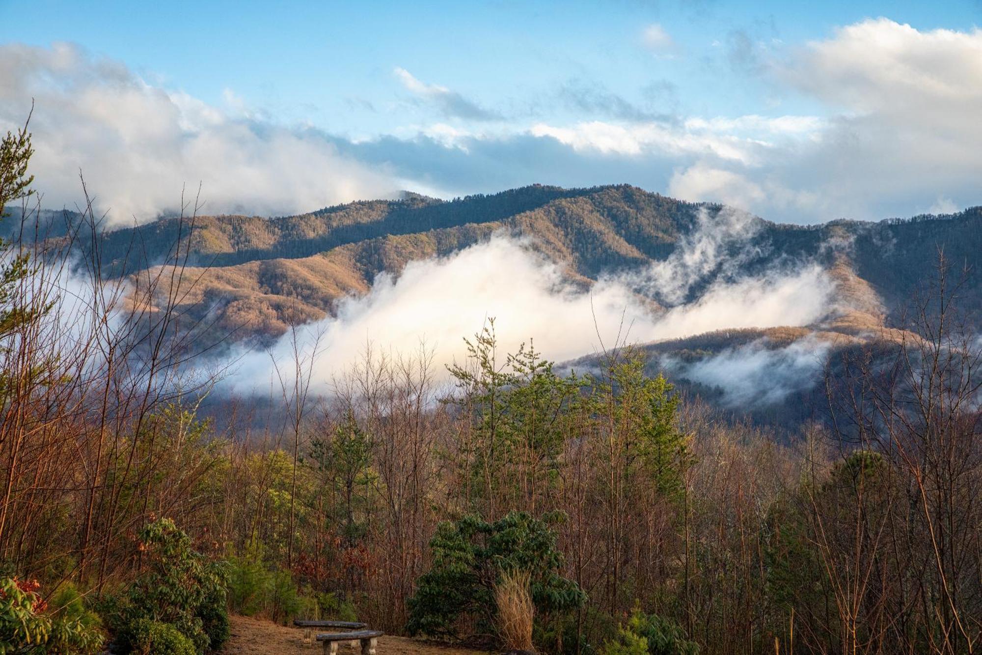 Real Log Cabin With Amazing Views, Hot Tub, Sauna, Games Gatlinburg Exteriör bild
