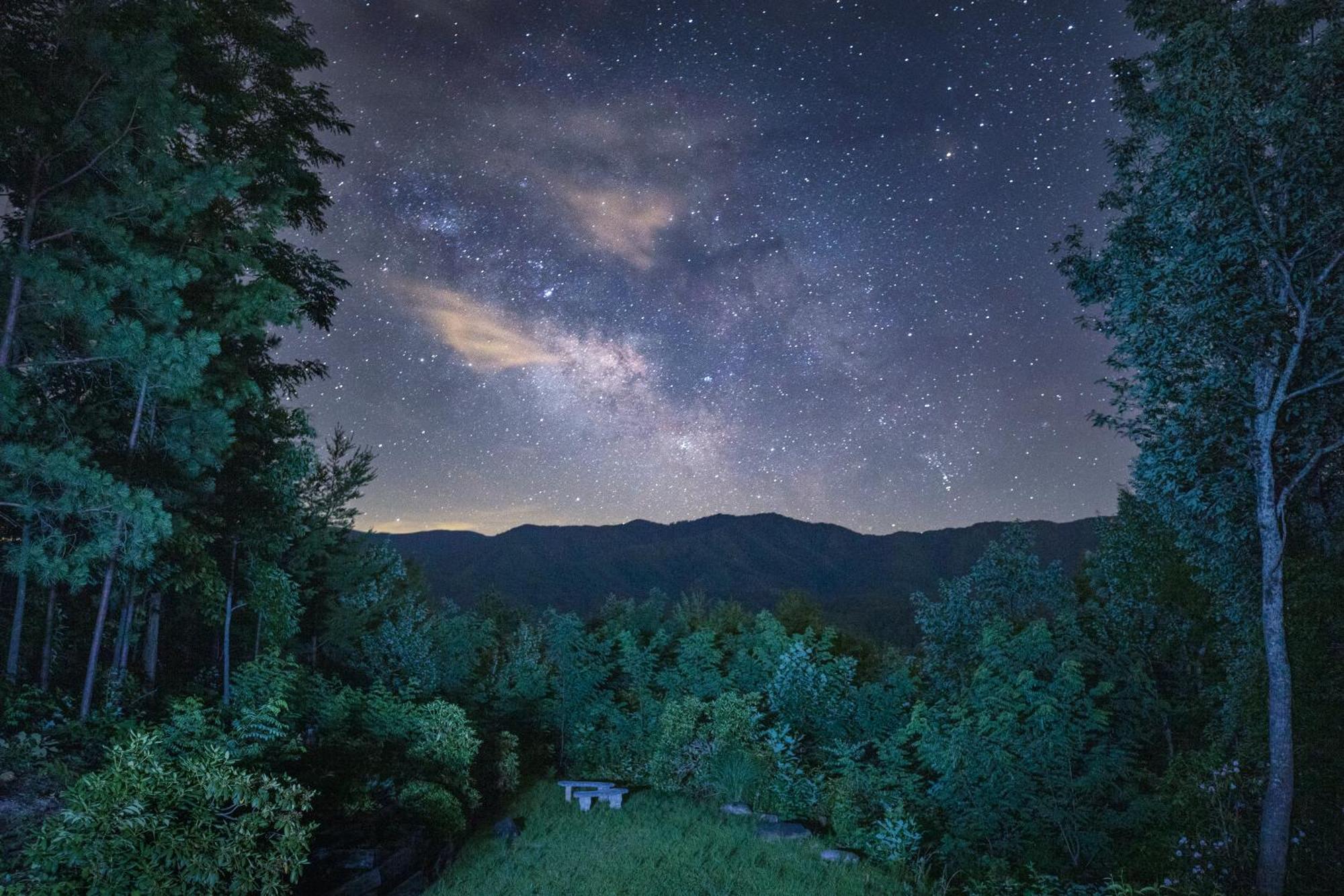 Real Log Cabin With Amazing Views, Hot Tub, Sauna, Games Gatlinburg Exteriör bild